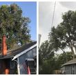 Photo #1: Tree Trimming and Removal - Bush/Shrub Trimming and Removal