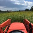 Photo #8: Dusty's Field Mowing
