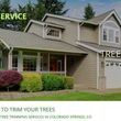 Photo #1: AAA TREE SERVICE ~ Tree Trimming Tree Removal & Stump Grinding Service