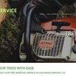 Photo #3: AAA TREE SERVICE ~ Tree Trimming Tree Removal & Stump Grinding Service