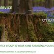 Photo #4: AAA TREE SERVICE ~ Tree Trimming Tree Removal & Stump Grinding Service