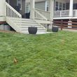 Photo #5: SOD INSTALL,LANDSCAPING SINCE 2005 MEASURE AND CALL