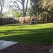 Photo #11: SOD INSTALL,LANDSCAPING SINCE 2005 MEASURE AND CALL