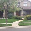 Photo #15: SOD INSTALL,LANDSCAPING SINCE 2005 MEASURE AND CALL