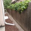 Photo #5: SUMMER YARD CLEAN UP! WEED removal specials mulch deals YARD CLEAN UP