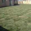 Photo #10: Ed's Landscaping Services / More