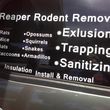 Photo #1: ☆Rat Removal and Insulation Services☆