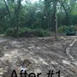 Photo #6: Land Clearing, Stump Removal