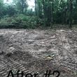 Photo #8: Land Clearing, Stump Removal
