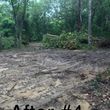 Photo #12: Land Clearing, Stump Removal