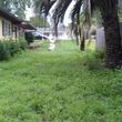 Photo #11: Father & Son Lawn Services Lawn Mowing, Edge, Blow, Weed, Light Haul,