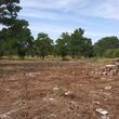 Photo #4: Land clearing, mesquite removal, gravel roads, ANY skid steer work