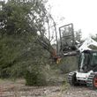 Photo #11: Land clearing, mesquite removal, gravel roads, ANY skid steer work