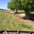 Photo #13: Land clearing, mesquite removal, gravel roads, ANY skid steer work