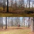 Photo #2: Land Clearing Services/ Forestry Mulching/Brush Clearing/ Maryland