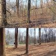 Photo #4: Land Clearing Services/ Forestry Mulching/Brush Clearing/ Maryland