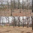 Photo #7: Land Clearing Services/ Forestry Mulching/Brush Clearing/ Maryland