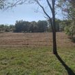 Photo #9: Land Clearing Services/ Forestry Mulching/Brush Clearing/ Maryland