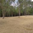 Photo #10: Land Clearing Services/ Forestry Mulching/Brush Clearing/ Maryland