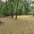 Photo #11: Land Clearing Services/ Forestry Mulching/Brush Clearing/ Maryland