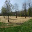 Photo #19: Land Clearing Services/ Forestry Mulching/Brush Clearing/ Maryland