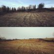 Photo #20: Land Clearing Services/ Forestry Mulching/Brush Clearing/ Maryland