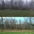 Photo #22: Land Clearing Services/ Forestry Mulching/Brush Clearing/ Maryland