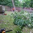 Photo #4: Tree Removal And Landscaping Services
