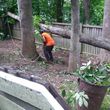 Photo #6: Tree Removal And Landscaping Services