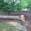 Photo #8: Tree Removal And Landscaping Services