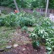 Photo #12: Tree Removal And Landscaping Services