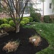 Photo #20: LANDSCAPING AND LAWN SERVICE (ESPINOSA LANDSCAPING LLC)