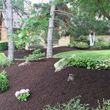 Photo #16: MOWING 29.99▐_MULCHING 25%OFF▐LOW RATES▐FREE ESTIMATES