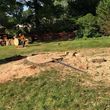 Photo #9: Tree And Stump Removal