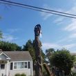 Photo #4: tree cutting   tree service   tree removal  landscaping service