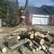 Photo #7: tree cutting   tree service   tree removal  landscaping service