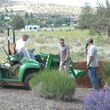 Photo #11: MAVERICK LANDSCAPING
