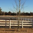 Photo #1: **Ghost Rock Ranch Boarding Stables - 3 Stalls Open 5.1