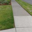 Photo #2: Yard and Property cleanup/lawn care matience