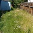 Photo #4: Yard and Property cleanup/lawn care matience