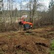Photo #3: Brush Removal, Forest Under-brushing/Mulching