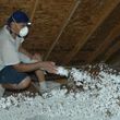 Photo #1: INSULATION ~ Insulate Now And Save On Summer Cooling Costs