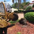 Photo #4: STUMP PRO STUMP REMOVAL STUMP GRINDING ROOT PRUNING