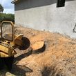 Photo #7: STUMP PRO STUMP REMOVAL STUMP GRINDING ROOT PRUNING