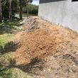 Photo #8: STUMP PRO STUMP REMOVAL STUMP GRINDING ROOT PRUNING