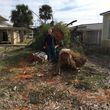 Photo #9: STUMP PRO STUMP REMOVAL STUMP GRINDING ROOT PRUNING