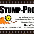 Photo #14: STUMP PRO STUMP REMOVAL STUMP GRINDING ROOT PRUNING