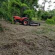 Photo #5: Tractor and Tree Services