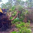 Photo #11: Excavator/Bobcat work Debris & Tree Service-Extract,Dig,Demo,Haul