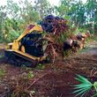 Photo #12: Excavator/Bobcat work Debris & Tree Service-Extract,Dig,Demo,Haul